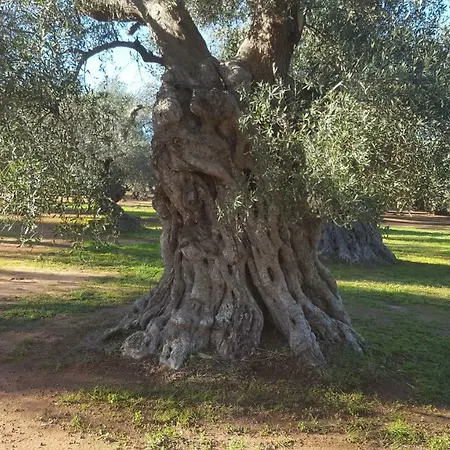 Tenuta La Fresa Villa Muro Leccese